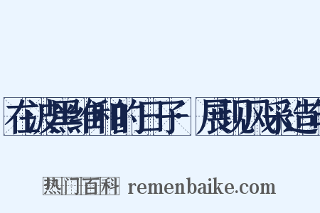 在波黑维和的日子·展现风采造句是什么意思的图片